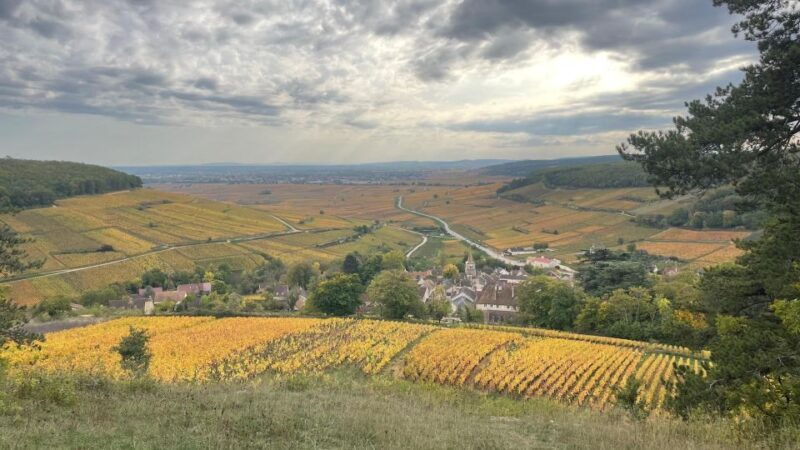 small-group-tour-morning-in-cote-de-beaune