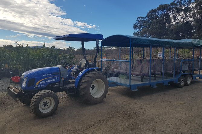 Small-Group Tractor Tour at Rayners Orchard from Melbourne - The Experience: Pros and Cons From Real Travelers