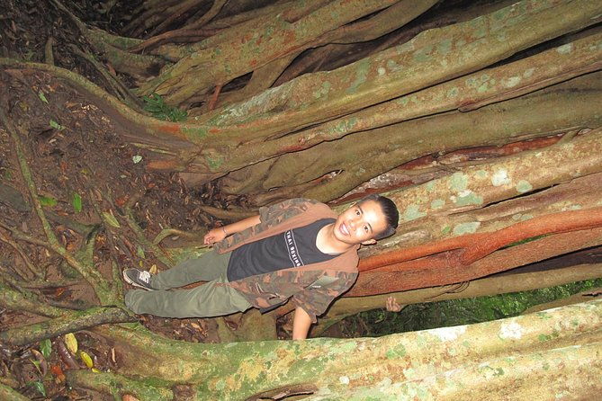 Small Group : Trekking Trip in Chiang Mai (Doi Suthep Area) with Market Tour - Who Will Love This Tour?