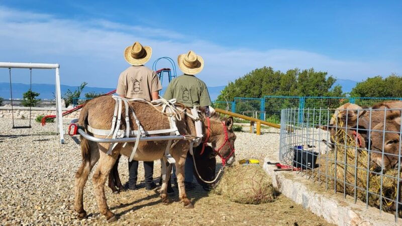 smrika-near-rijeka-krk-crikvenica-donkey-farm-entry-ticket