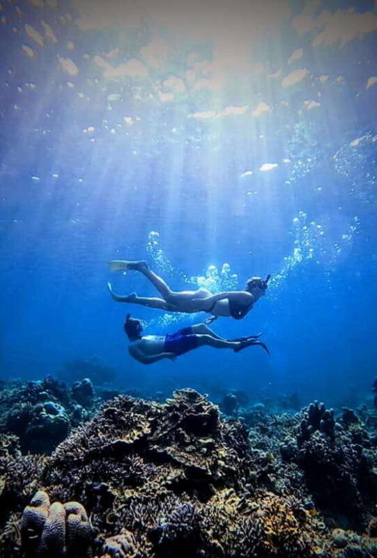 snorkeling-around-3-island-turtle-sanctuary