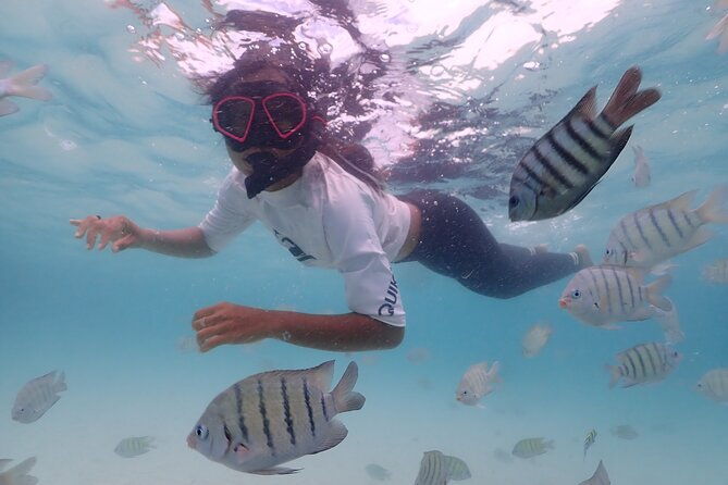 Snorkeling Full Day Experience from Bangkok - What Makes This Tour Stand Out?