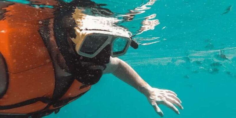 snorkeling-in-port-city