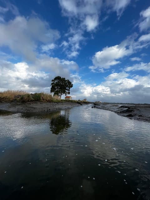 solar-boat-tour-along-the-salgado-da-ria-de-aveiro