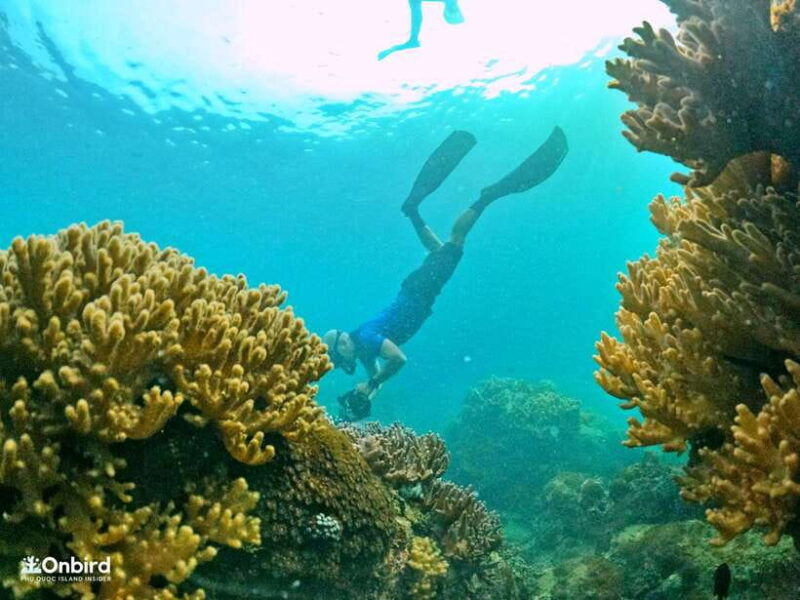 south-phu-quoc-pro-snorkeling-tour-by-speedboat
