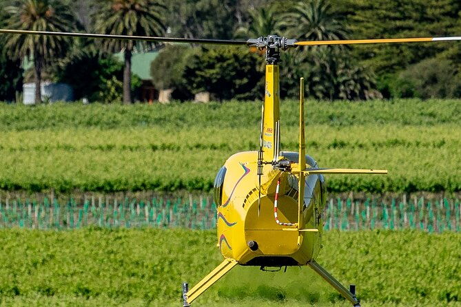 Southern Barossa & Reservoirs: 15 Minute Scenic Flight - The Flight Itself: Highlights and Sights