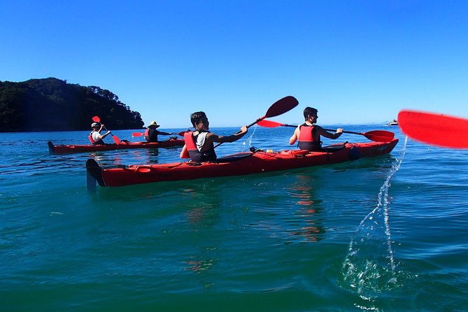 Southern Duo kayak & walk tour - Value and Practicalities