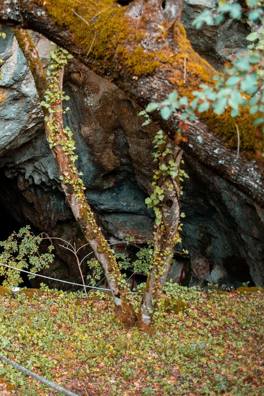 split-private-tour-to-klis-fortress-and-vranjaca-cave