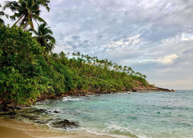 sri-lanka-6-day-wildlife-safari-private-tour