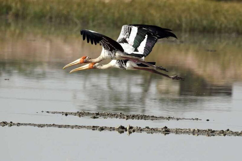 sri-lanka-bentota-private-mangrove-lagoon-and-river-cruise