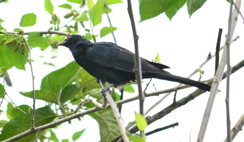 sri-lanka-green-bless-2-day-private-trip-to-enjoy-nature