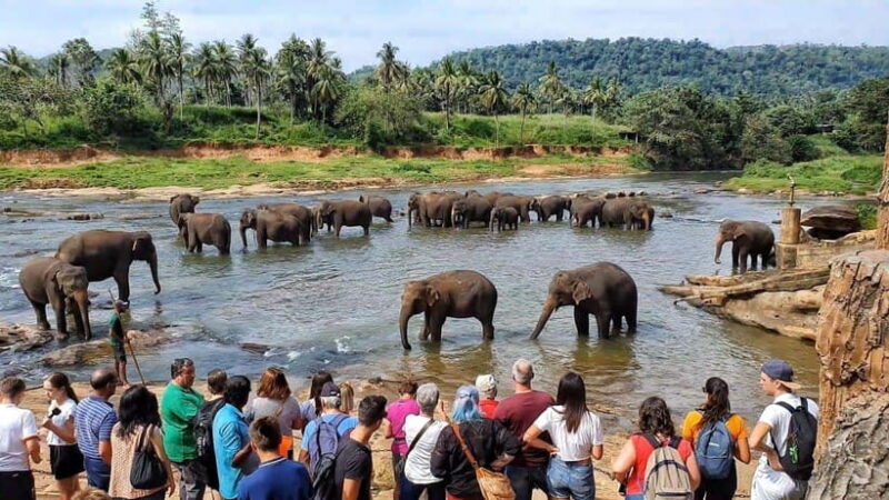 sri-lanka-kandy-and-colombo-guided-cultural-tour