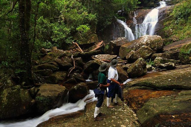 Sri Lanka Sinharaja Rain Forest Tour with Transport - Authentic Experiences from Reviews