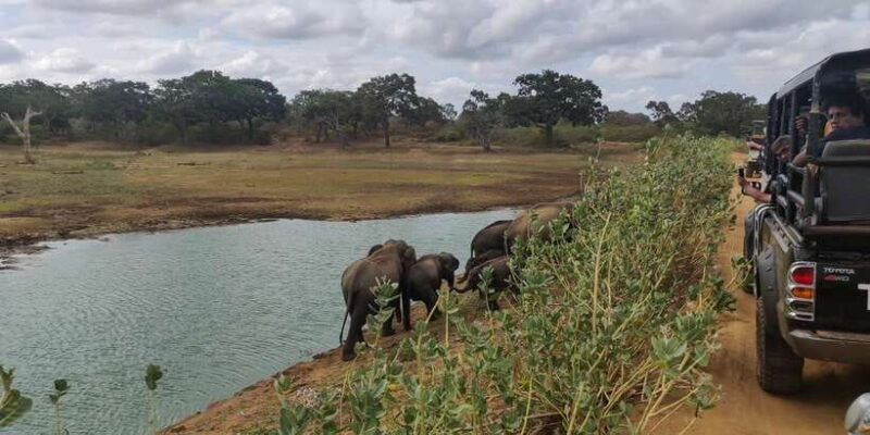 sri-lanka-yala-national-park-private-safari