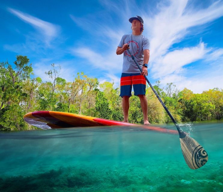 st-augustine-dolphin-and-manatee-paddle-or-kayak-tour