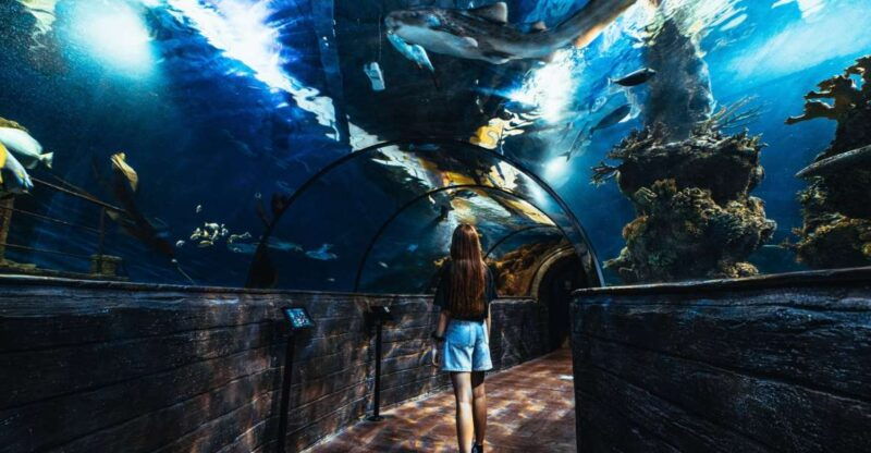 st-pauls-bay-malta-national-aquarium-entry-ticket