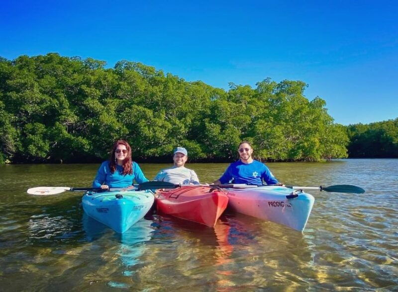 st-petersburg-fl-weedon-island-kayak-tour