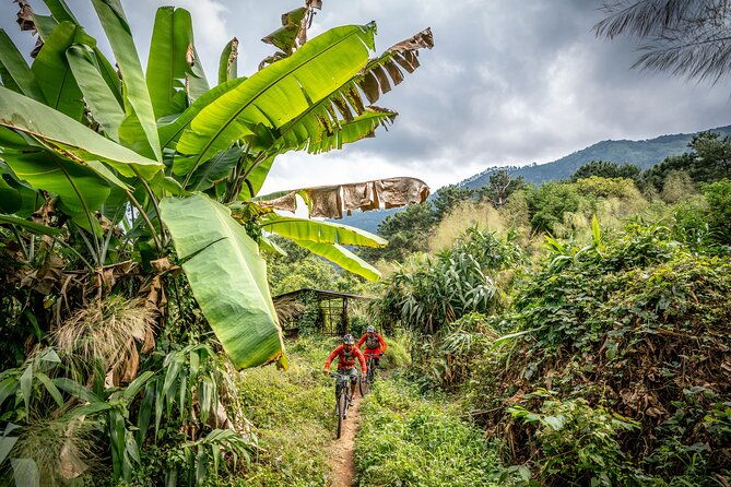 Stairway to Heaven Trail Mountain Biking Tour Chiang Mai - An In-Depth Look at the Tour Experience