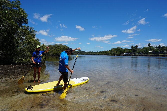 Stand-Up Paddle Board Tour in Byron Bay - Practical Details and Tips