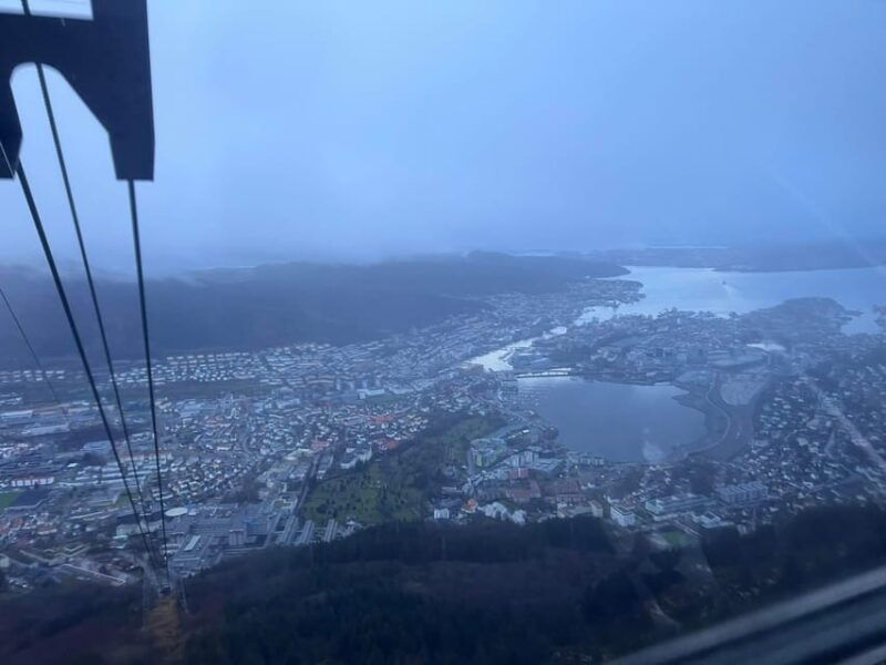 stavanger-ulriken-mountain-and-bergen-aquarium-guided-tour