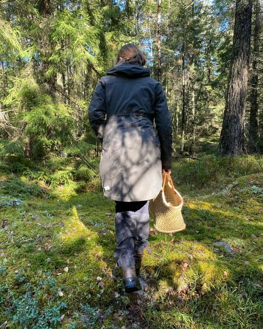 stockholm-mushroom-and-wild-plant-foraging-tour-with-expert