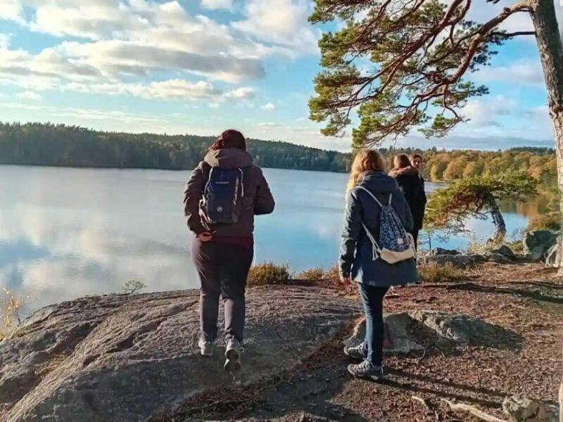 stockholm-sunset-hike-in-tyresta-national-park-with-meal