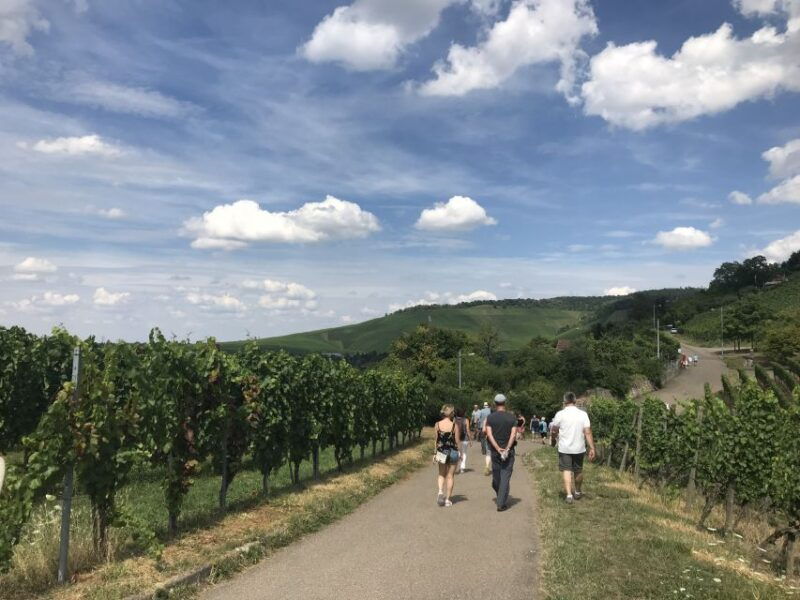 stuttgart-2-hour-vineyard-hike-with-tastings