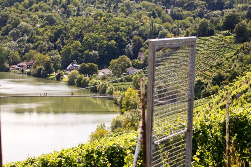 stuttgart-nature-experience-day