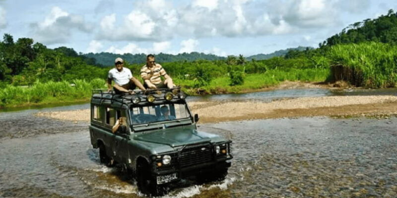 sukamade-a-private-tour-to-see-turtle-lay-egg-2d-1n