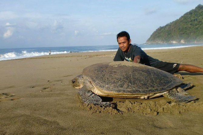Sukamade Adventure -Turtle Beach Tour - What’s Included and Whats Not