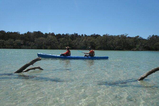 Sunrise Brunswick River Kayak Activity - The Route and What Youll See