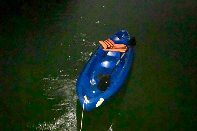 Sunset & Bioluminescent Plankton Kayaking Lan Ha bay - What Sets This Tour Apart?