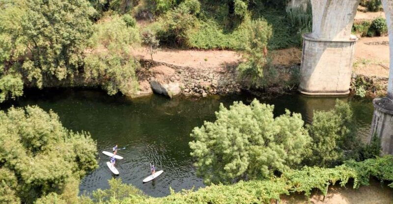 sup-tour-explore-portos-surroundings-on-a-sup-board