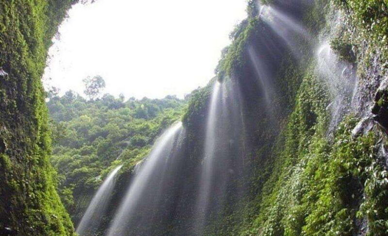 surabaya-to-bali-all-inclusive-9-day-tour-with-local-guide