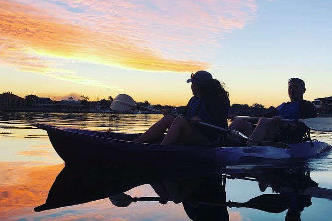 Surfers Paradise Sunset Kayak Tour - What to Expect During the Tour