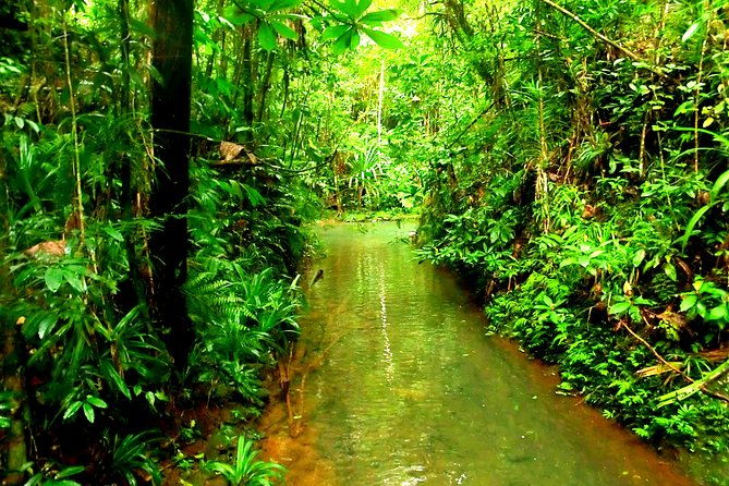 Suva Customized tour- Private - Frequently Asked Questions