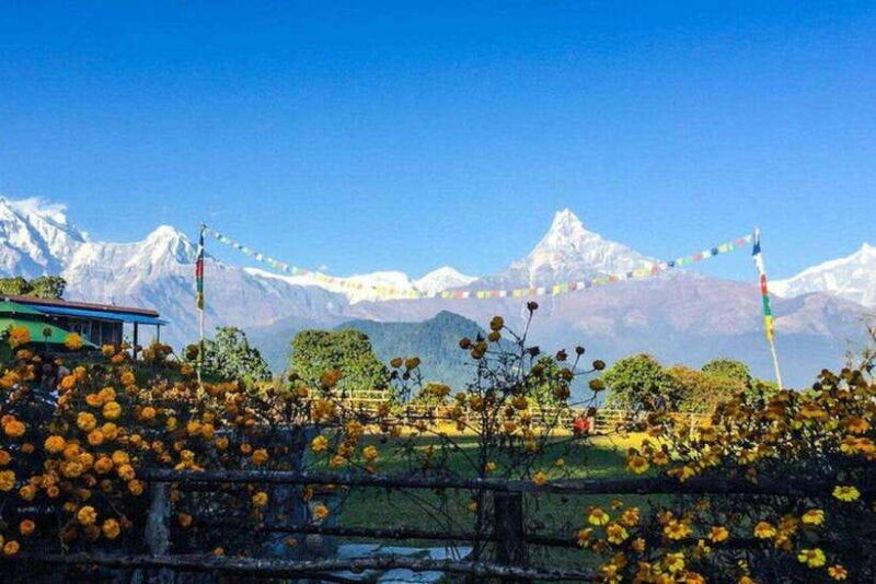 sweet-and-memorable-4-day-poon-hill-trek-economic-transport