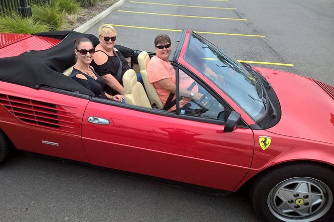 Sydney Bridges and Beaches tour Vintage Car Ride Experience - Why This Tour Stands Out