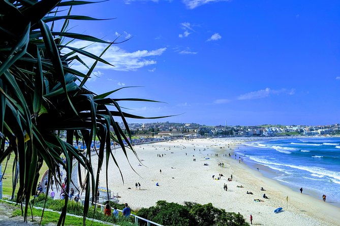 Sydney Secrets and Bondi Beach 4 HOUR AFTERNOON PRIVATE TOUR - What Makes This Tour Stand Out