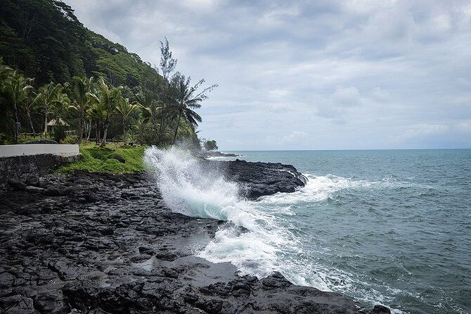 Tahiti: Tour of the East or West Coast (Half Day) - Who Is This Tour Best For?