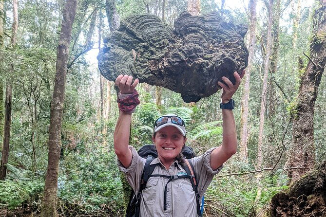 takayna / Tarkine Wilderness Highlights Hiking Tour - 5 Days - What Sets This Tour Apart