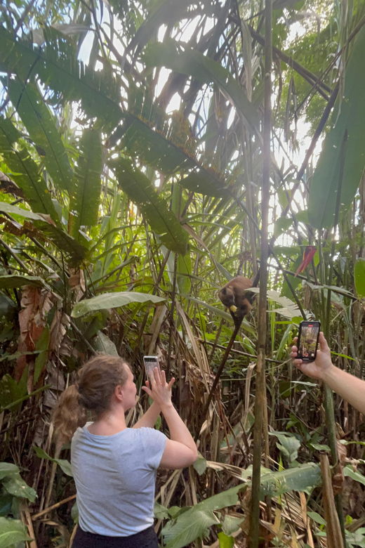 tambopata-2-days-and-1-night-adventure-and-sandoval-lake