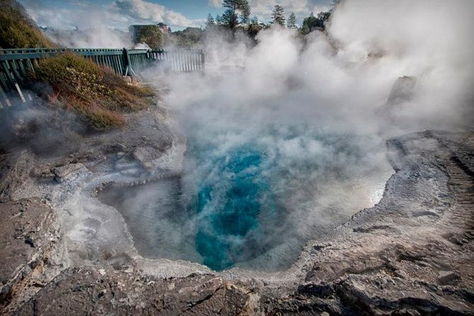 Tauranga to Rotorua "Whaka Living Mori Village" Shore Excursion. - The Itinerary: What to Expect from Start to Finish