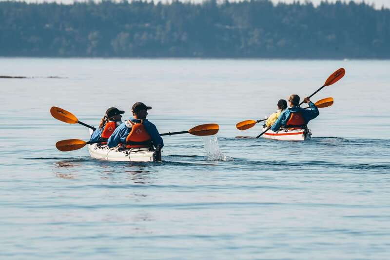 telegraph-cove-day-trip-kayaking-tour