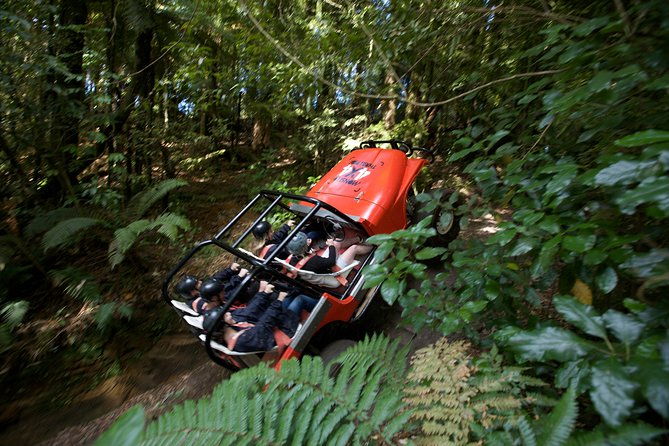 The Adrenaline Overdose at Off Road NZ - What You Get and What You Might Want to Bring