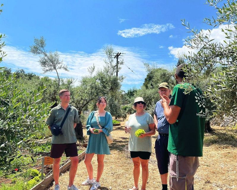 the-olive-oil-experience-lefkada-micro-farm-3