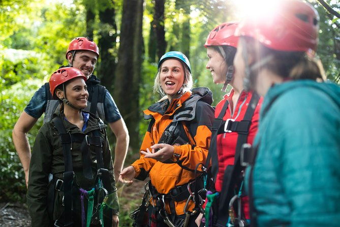 The Original Canopy Zipline Experience Private Tour From Auckland - What’s the Price & Is It Worth It?