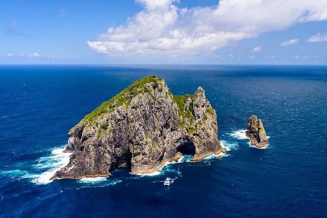 The Original Full day Bay of Islands Cruise with Dolphins - Transportation, Group Size, and Overall Value