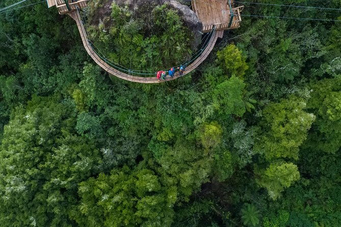 The Ultimate Canopy Zipline Experience Private Tour From Auckland - Authentic Experiences from Reviewers
