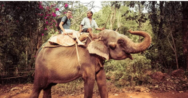 theactivity-that-won-the-best-tourist-attraction-in-srilanka